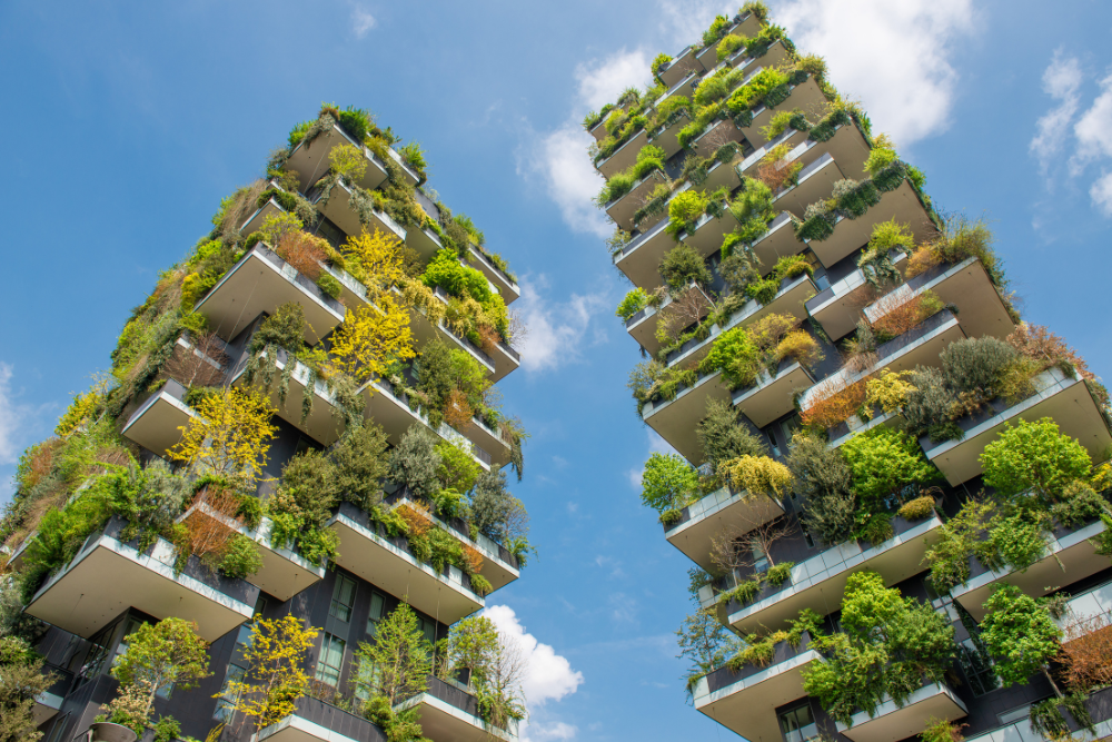 COS'E' IL DESIGN BIOFILICO?